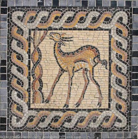 Deer 1