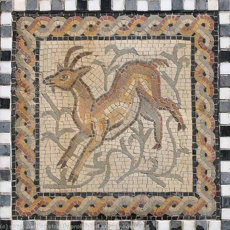 Deer 3