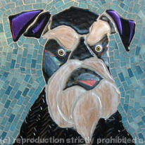 Schnauzer 
