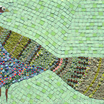 Green Pheasant