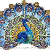 Peacock Display
