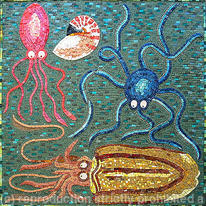 Cephalopods