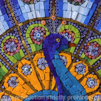 Art Cards Gallery: Peacock Display