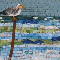 Seagull