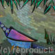 Purple Peacock