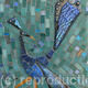 Blue Peacock Walking
