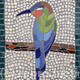 Bee Eater