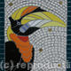 Hornbill