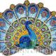 Peacock Display