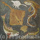 Fish Gallery: Sea Panel