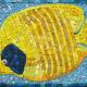 Angel Fish
