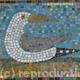 Herring Gull