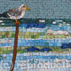 Seagull