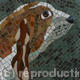 Bassett Hound