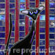Black Cat # 3
