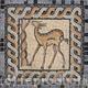 Deer 1