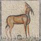 Deer 2