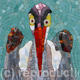 Heron