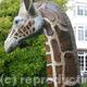 Giraffe (Detail)