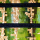 Green and Gold | £300 | 122 x 76cm | Acrylic on Canvas Green and Gold