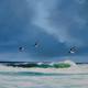 skimming the waves