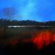 fiery grasses