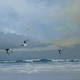 oystercatcher flight