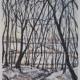 Woods in the snow