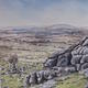 landscape | (sold) | | landscape