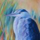 Heron