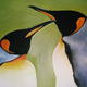 Andi's Penguins