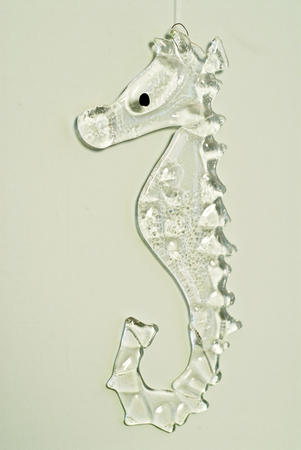 seahorse