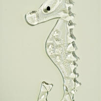 seahorse