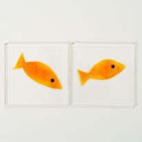 wee fish coaster/tile