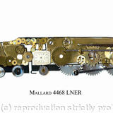 Mallard - watch parts on board