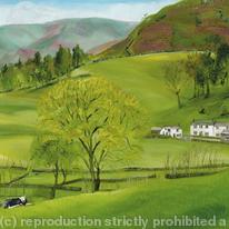 Lake District 3