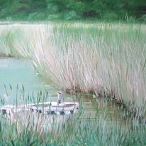 Hidden Mooring 2