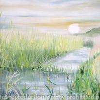 norfolk broads 006
