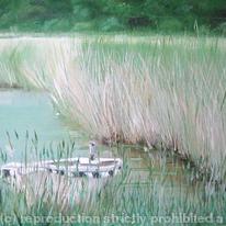 hidden mooring 2