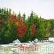Autumn Newfoundland