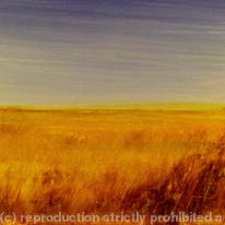 Open Space