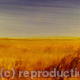 Open Space | | | Acrylic Open Space