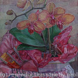 Orchids on a pink t-shirt - Oil on Canvas
