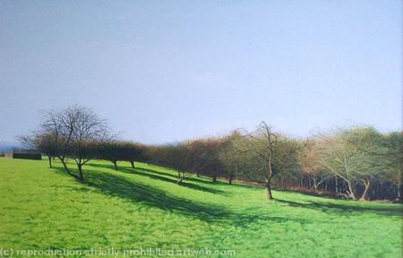 The Orchard