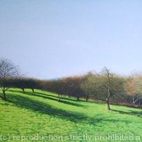The Orchard