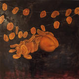 Apricot Scales - Oil on Canvas