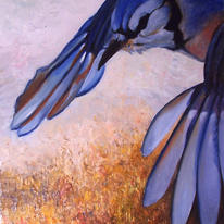 blue jay 2