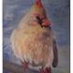 momma cardinal | | 71 x 81cm | oil on canvas momma cardinal