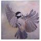 chickadee | (sold) | 61 x 61cm | oil on wood chickadee