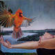 Bosh Bird | | 66 x 56cm | oil on canvas Bosh Bird
